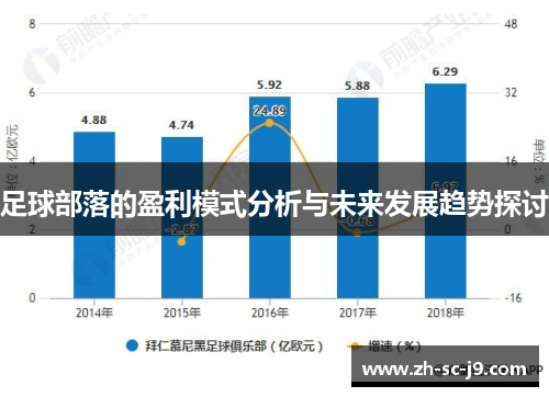 足球部落的盈利模式分析与未来发展趋势探讨