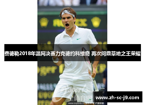 费德勒2018年温网决赛力克德约科维奇 再次问鼎草地之王荣耀