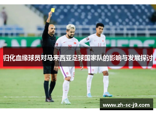 归化血缘球员对马来西亚足球国家队的影响与发展探讨